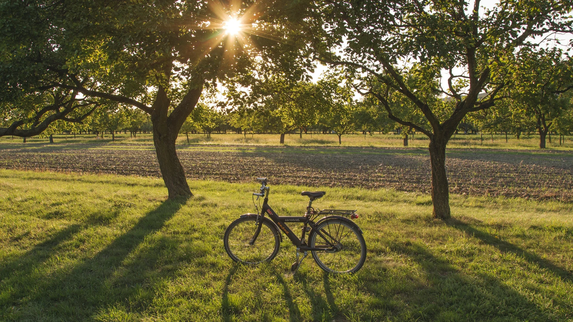 E-Bike tra Monferrato e Langhe